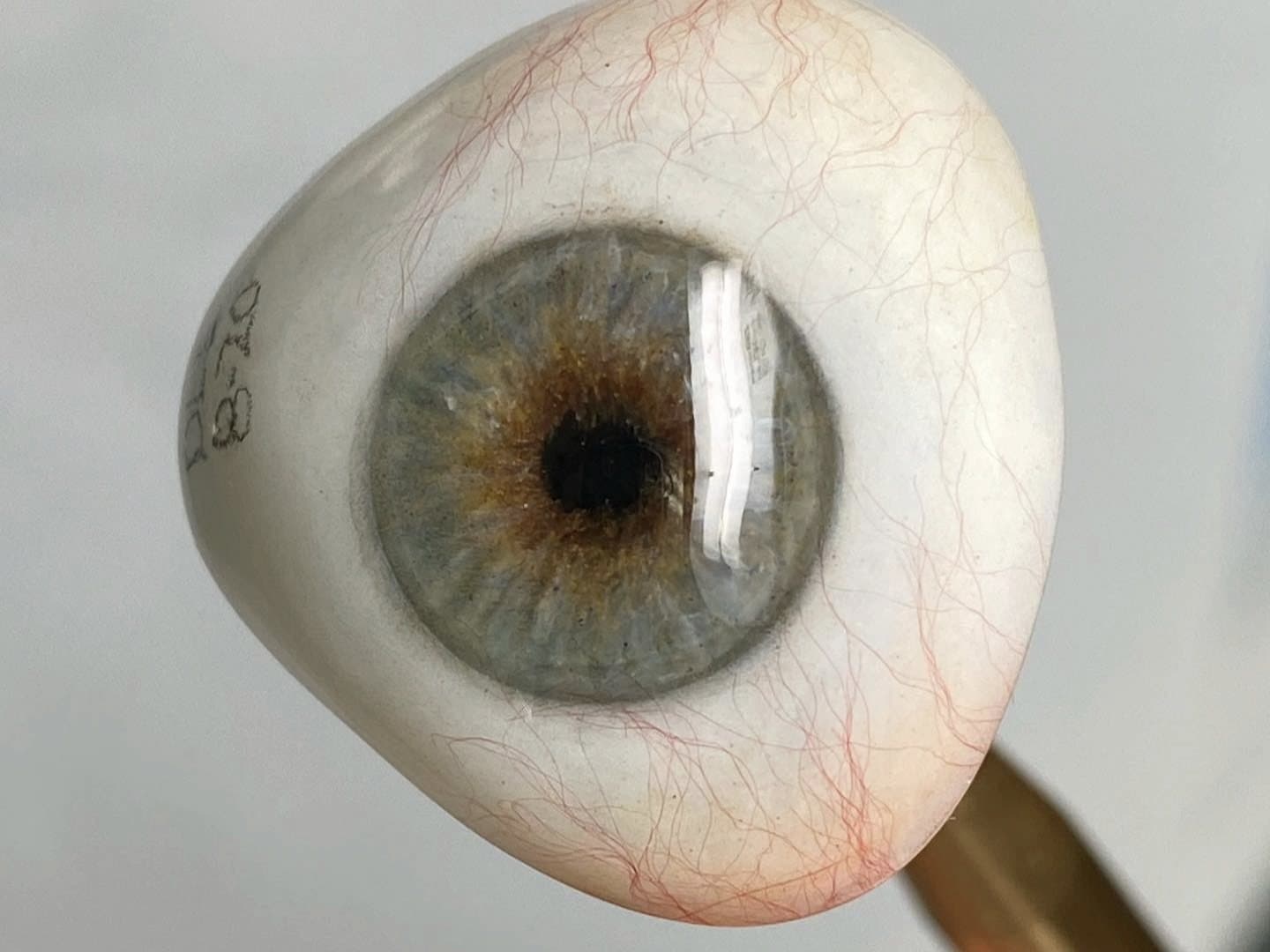 Prótesis ocular terminada, con el iris pintado a mano y los vasos de la esclera